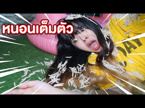 ไม่อาบน้ำ-7-วัน-หนอนขึ้นเต็มตั ไม่อาบน้ำ-7-วัน-หนอนขึ้นเต็มตั
