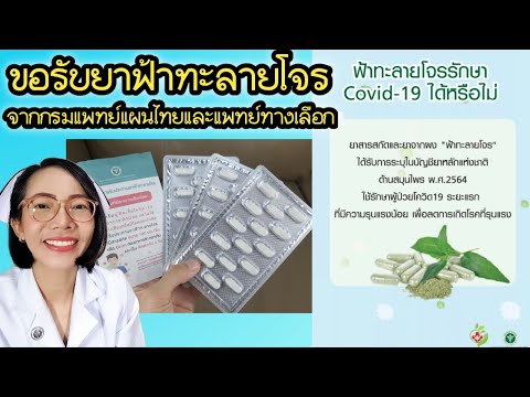 ขอรับยาฟ้าทะลายโจรฟรี-จากกรมแพ ขอรับยาฟ้าทะลายโจรฟรี-จากกรมแพ