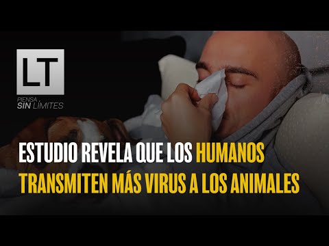 Estudio de genomas revela que los humanos transmiten más virus a los animales que ellos a nosotros