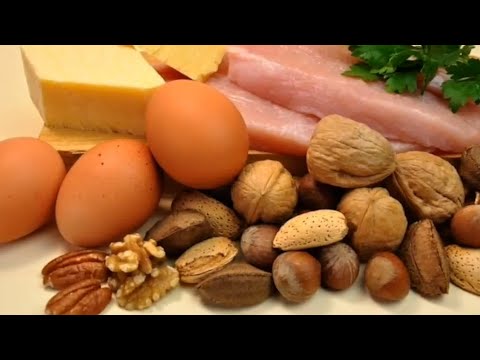 Importancia de proteína en la alimentación diaria