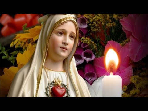 ? SANTO ROSARIO A NUESTRA SEÑORA DE FÁTIMA HOY MARTES 19 DE NOVIEMBRE DE 2024 ?