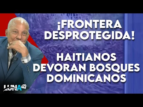 Todo ha sido una farsa!! La frontera esta descuidada - Haitianos devoran bosques Dominicanos