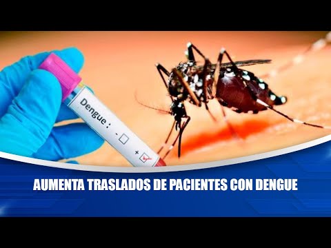 Aumenta traslados de pacientes con dengue