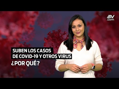 ¿Por qué han subido los casos de COVID-19 y otros virus? | Te Explico La Noticia | Ecuavisa