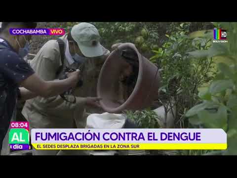 Fumigación de larvas de mosquito del dengue