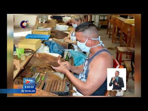 Celebran en Cuba Día del Trabajador Tabacalero