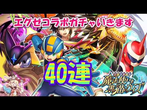 【黒猫のウィズ】ロックマンエグゼ コラボガチャ40連してみた