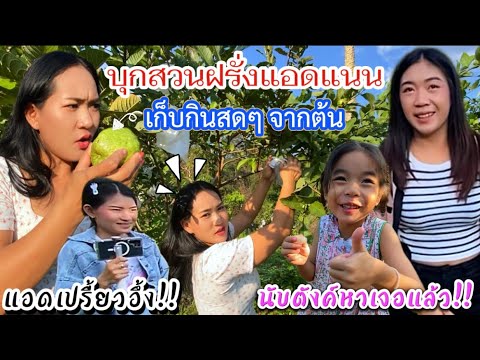 สดจากไร่!!แอดแนนหาของฝากให้ลุง