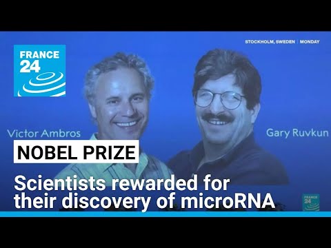 Nobel scientist uncovered tiny genetic switches with big potential • FRANCE 24 English