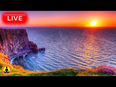 🔴 Relaxing Music 24/7, Stress Relief Music, Sleep Music | 1 MILLION VIEWS STRONG