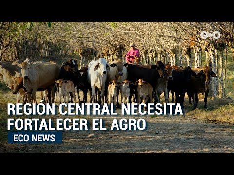 Región Central necesita fortalecer el agro, la conectividad e infraestructura  | ECO News