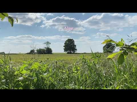 The Aloom Project - Someone You Loved x Faded ft. Lena Blake (OFFICIAL LYRICS VIDEO)