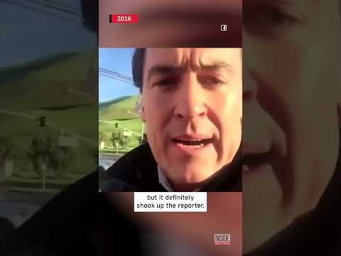 Reporter Almost Hit by Car on Live TV #shorts