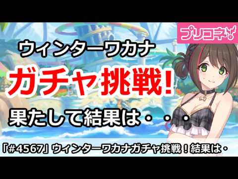 【プリコネ】ウィンターワカナ最終日ガチャ挑戦！果たして結果は・・・【プリンセスコネクト！】