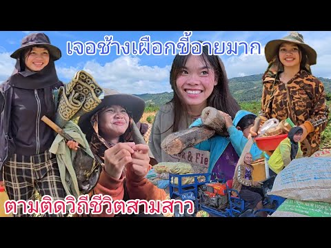 ວິຖີລາວ วิถีลาว ตามติดวิถีชีวิต3สาวบ้านป่าน้องธิดาน้องวาสนาวันนี้ขุดมันสำปะห