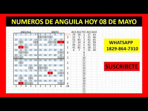 NUMEROS DE  ANGUILA HOY 08  DE MAYO MR TABLA