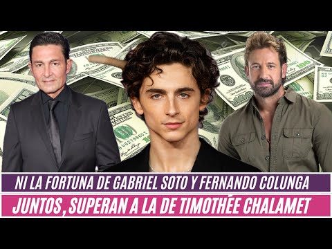 Ni la fortuna de Gabriel Soto y Fernando Colunga juntos, superan a la de Timothée Chalamet