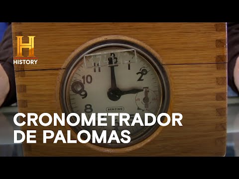 TEMPORIZADOR PARA PALOMAS DE CARRERAS - EL PRECIO DE LA HISTORIA