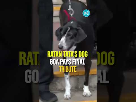 On Cam: Ratan Tata's Beloved Dog, Goa, Bids Farewell to the Dog-Loving Industrialist