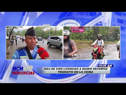 Más de cien licencias son decomisadas a diario por tránsito en La Ceiba, Atlántida