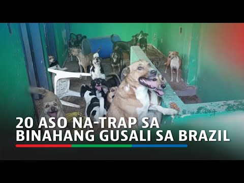 20 aso na-trap sa binahang gusali sa Brazil | ABS CBN News