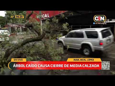 Árbol caído causa cierre de media calzada en Mcal López