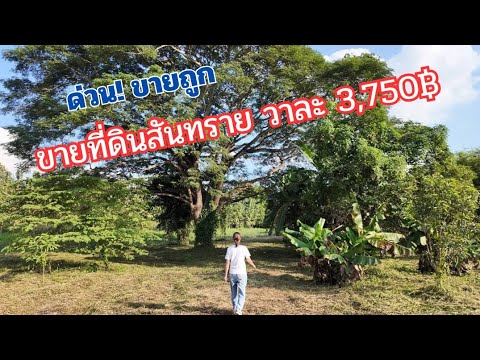 AA0369ขายที่ดินสันทรายใกล้ตล