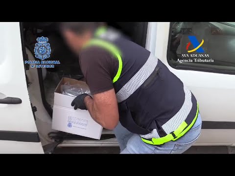 Prisión para dos de los tres detenidos por introducir 18 kilos de cocaína en Palma