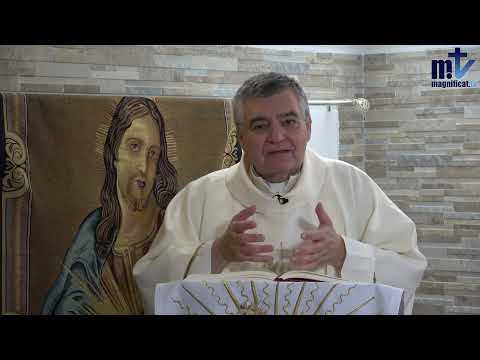 Homilía de hoy | La Natividad de San Juan Bautista | 24-06-2024 | Pbro. Santiago Martín, FM