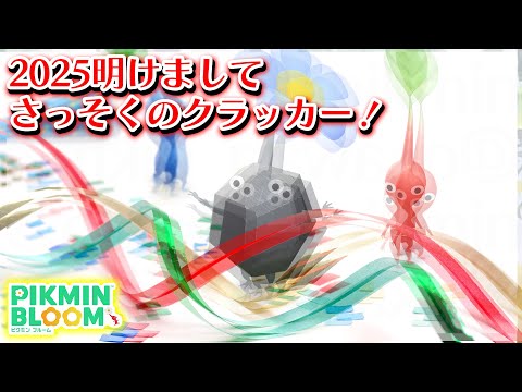 【ピクミンブルーム】2025明けましてさっそくのクラッカー！【Pikmin Bloom】