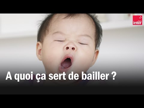 A quoi ça sert de bailler ?