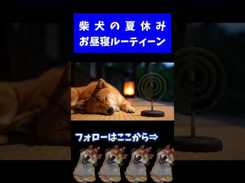 柴犬のおひるねルーティーン #shorts