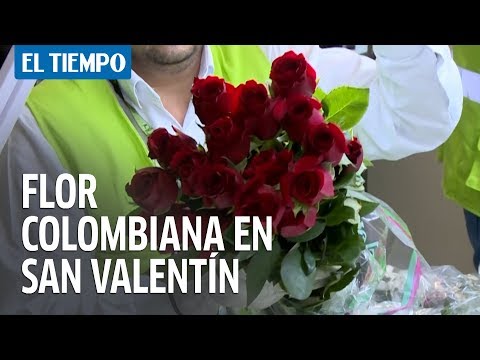 Colombia exporta flores para San Valenti?n