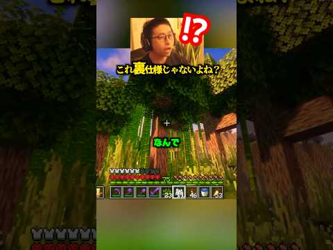 これ、裏仕様じゃないよね？【マイクラ】