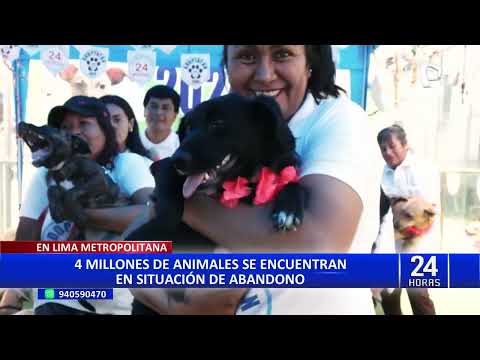 ‘Adoptatón’ en Surco: más de 500 animales buscan un nuevo hogar