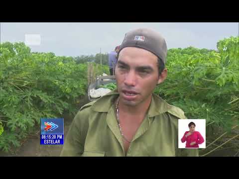 Productor granmense defiende desarrollo sostenible de la agricultura en Cuba