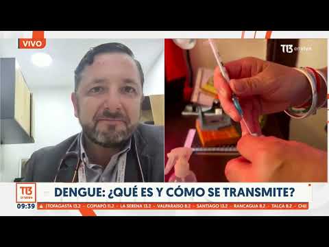 ¿Cómo prevenir el dengue? Revisamos la situación en Chile de este virus