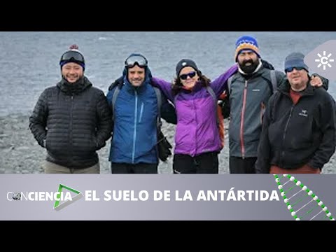 ConCiencia | Bajo la Antártida
