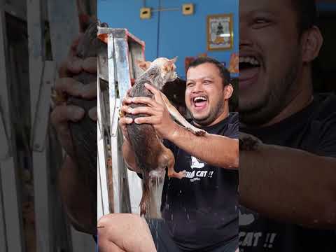 อาบน้ำนอกสถานที่