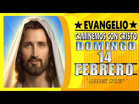 ? EVANGELIO DE HOY ? DOMINGO 14 de febrero de 2021?PadreCarlosYepes