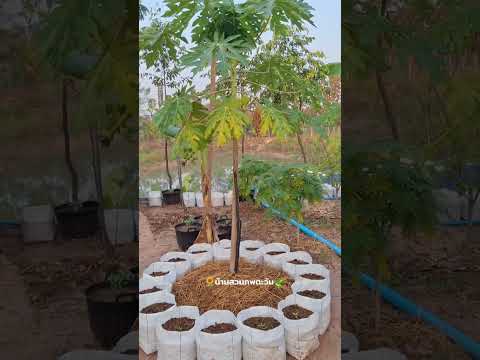 จะมีอะไรที่สบายใจเท่ากับการได้