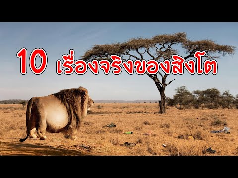 10-เรื่องจริงที่น่ารู้เกี่ยวกั 10-เรื่องจริงที่น่ารู้เกี่ยวกั