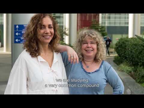 From Lab to Bedside: Translational Medicine at TAU