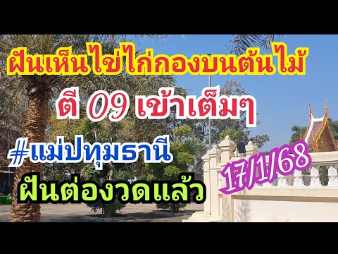 ฝันไข่ไก่กองอยู่บนต้นไม้(09)เ