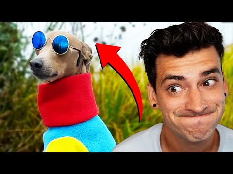 YouTube video thumbnail