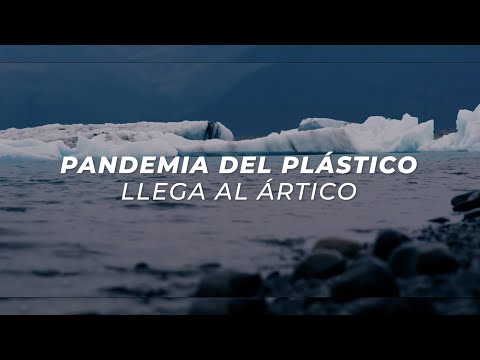 Pandemia de plástico llega al Ártico