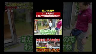 【シロアリ】外壁にこの跡を見つけたら危険です #シロアリ