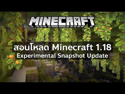 วิธีโหลดMinecraft1.18Experi