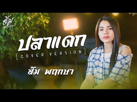 ส้ม พฤกษา OFFICIAL ปลาแดกส้มพฤกษาCOVERVERSION