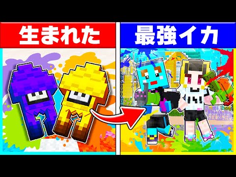 スラトゥーンの世界に生まれた子供が最強のイカを目指すまで【まいくら / マインクラフト】